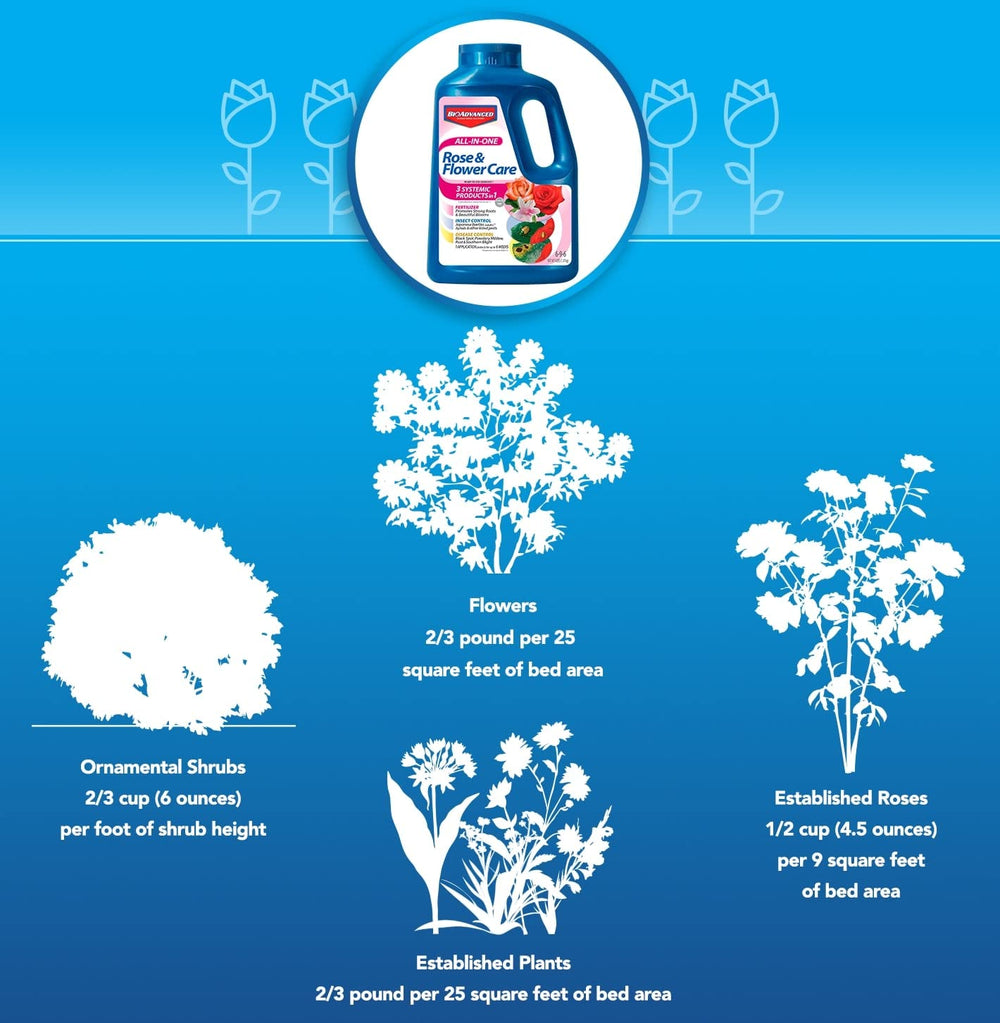 BioAdvanced-treated rose bloom showing healthier blooms and reduced pest damage