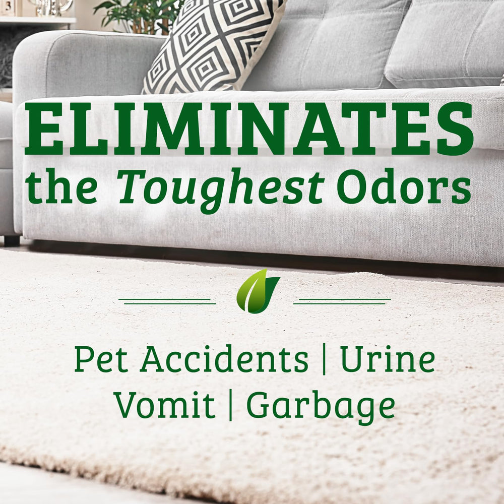 Biokleen Bac-Out being sprayed on carpet to remove pet stains