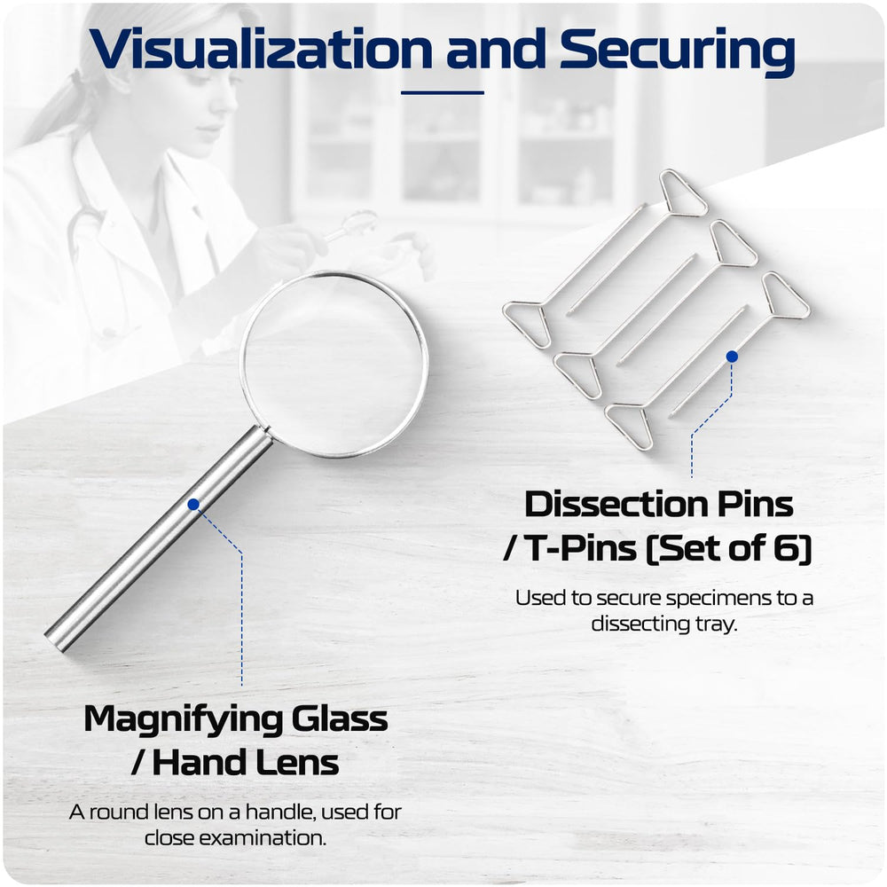BioPrecision tools beside ruler for scale showing compact, classroom-ready sizes