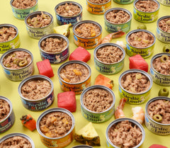 Birdie & Louie single 3 oz can open top showing ready-to-serve tuna