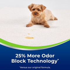 Bissell applied to sofa upholstery showing stain lift and refreshed fabric