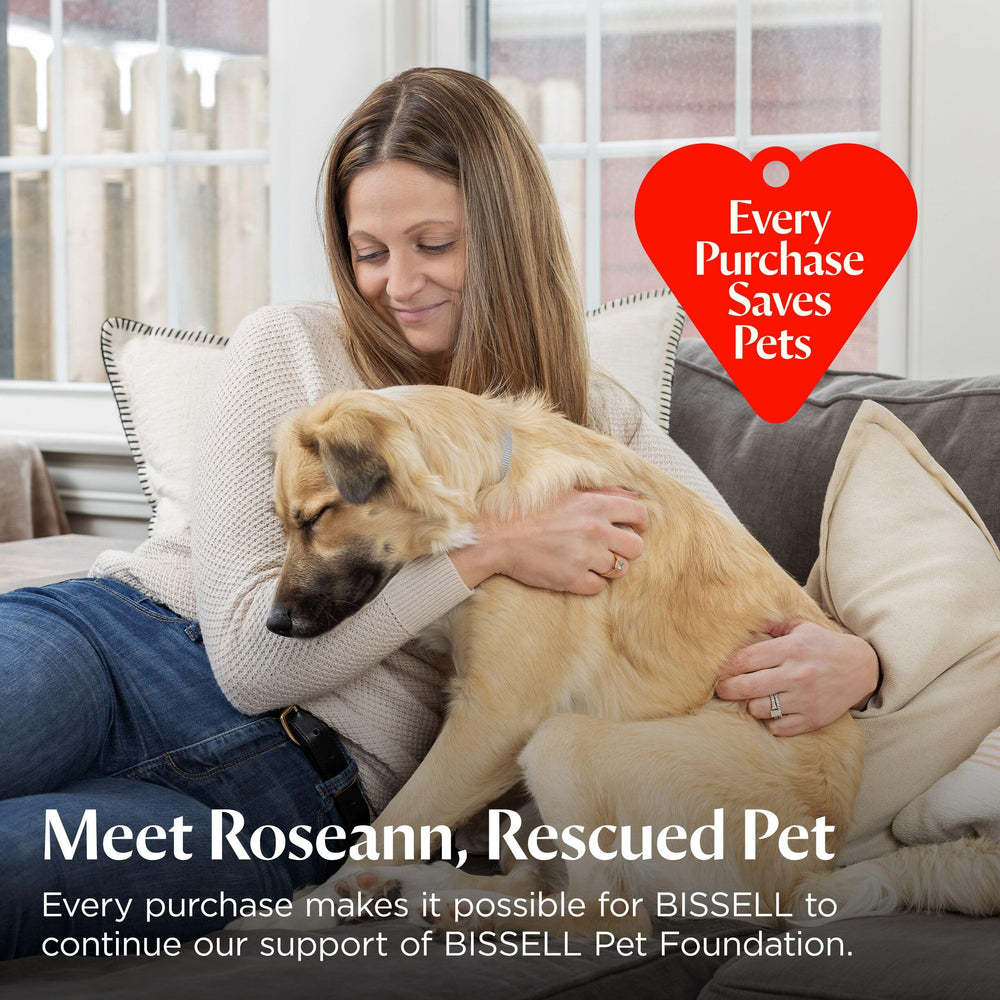 home scene with pet and fresh carpet after using Bissell solution showing cleaner living space benefit