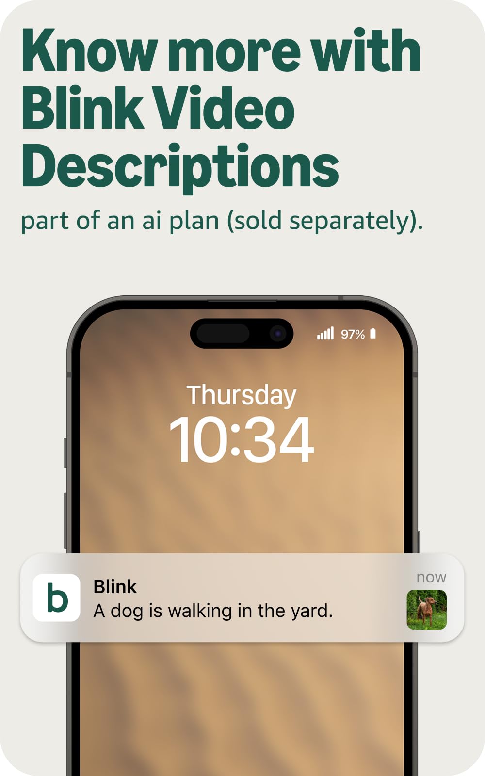 Blink Outdoor 2K+ mounted over driveway demonstrating clear coverage and deterrence
