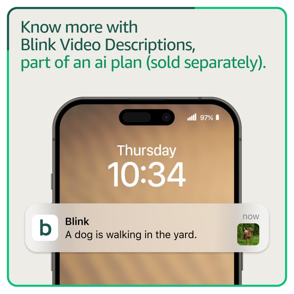 Blink Outdoor 4 next to a Sync Module illustrating local backup capability benefit