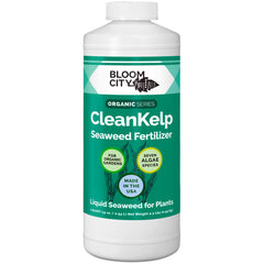 Bloom City front packaging showing 32 oz bottle and clear labeling for easy use