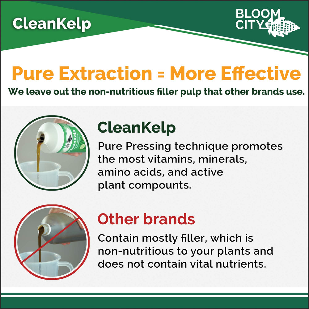 Bloom City label detail with ingredients and dilution instructions visible