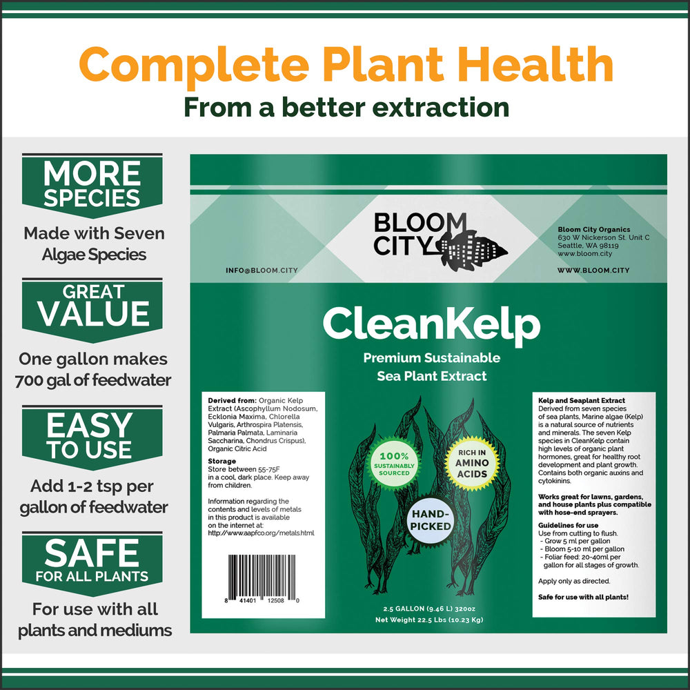 Bloom City spraying on plant leaves demonstrating quick foliar feed benefits