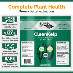 Bloom City spraying on plant leaves demonstrating quick foliar feed benefits