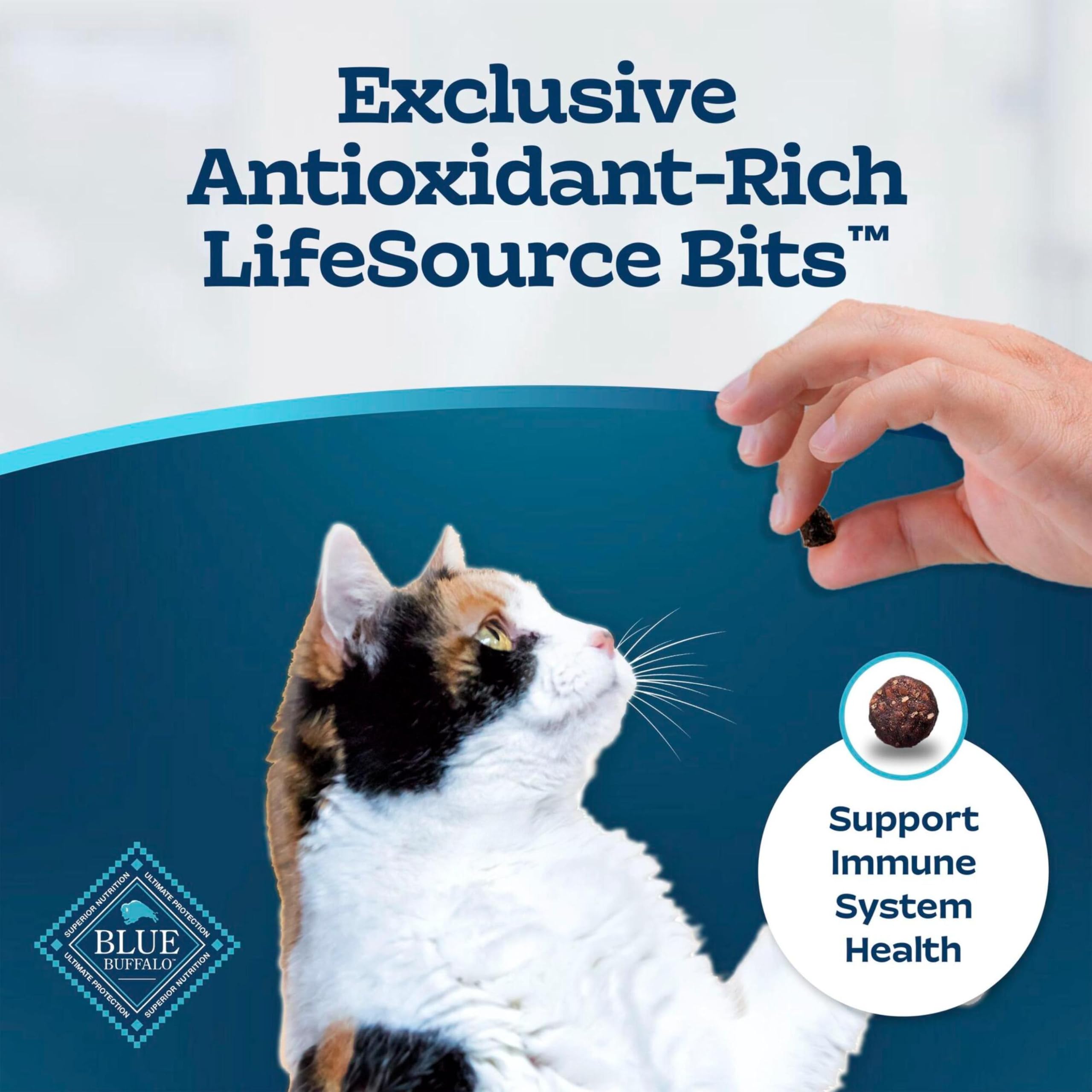 Cat eating Blue Buffalo kibble demonstrating acceptance and enjoyment