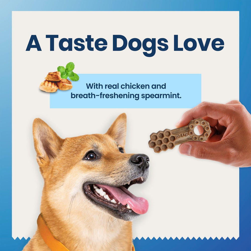 Blue Buffalo chews in hand showing size scale for medium dogs