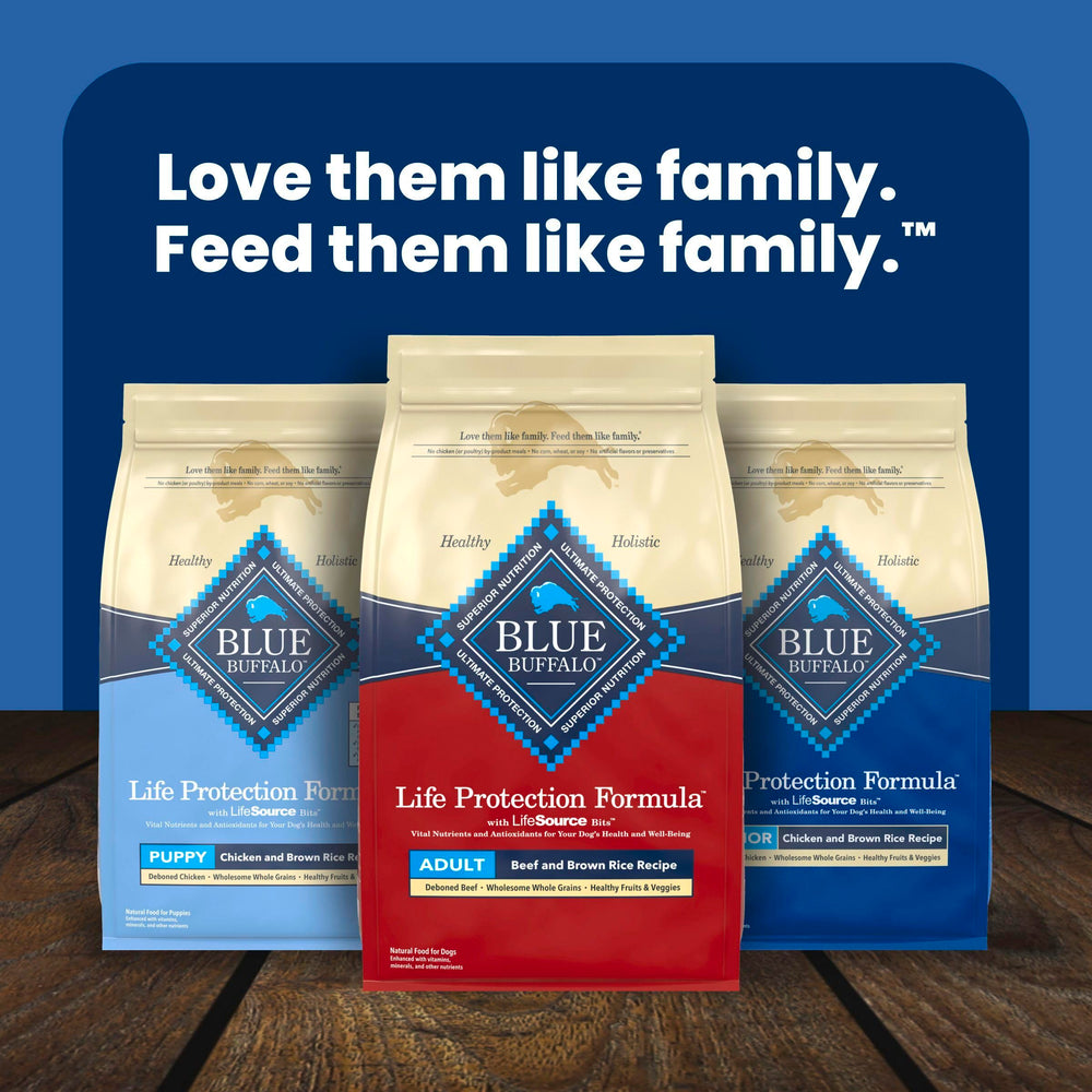 Blue Buffalo family feeding dog in kitchen showcasing daily use