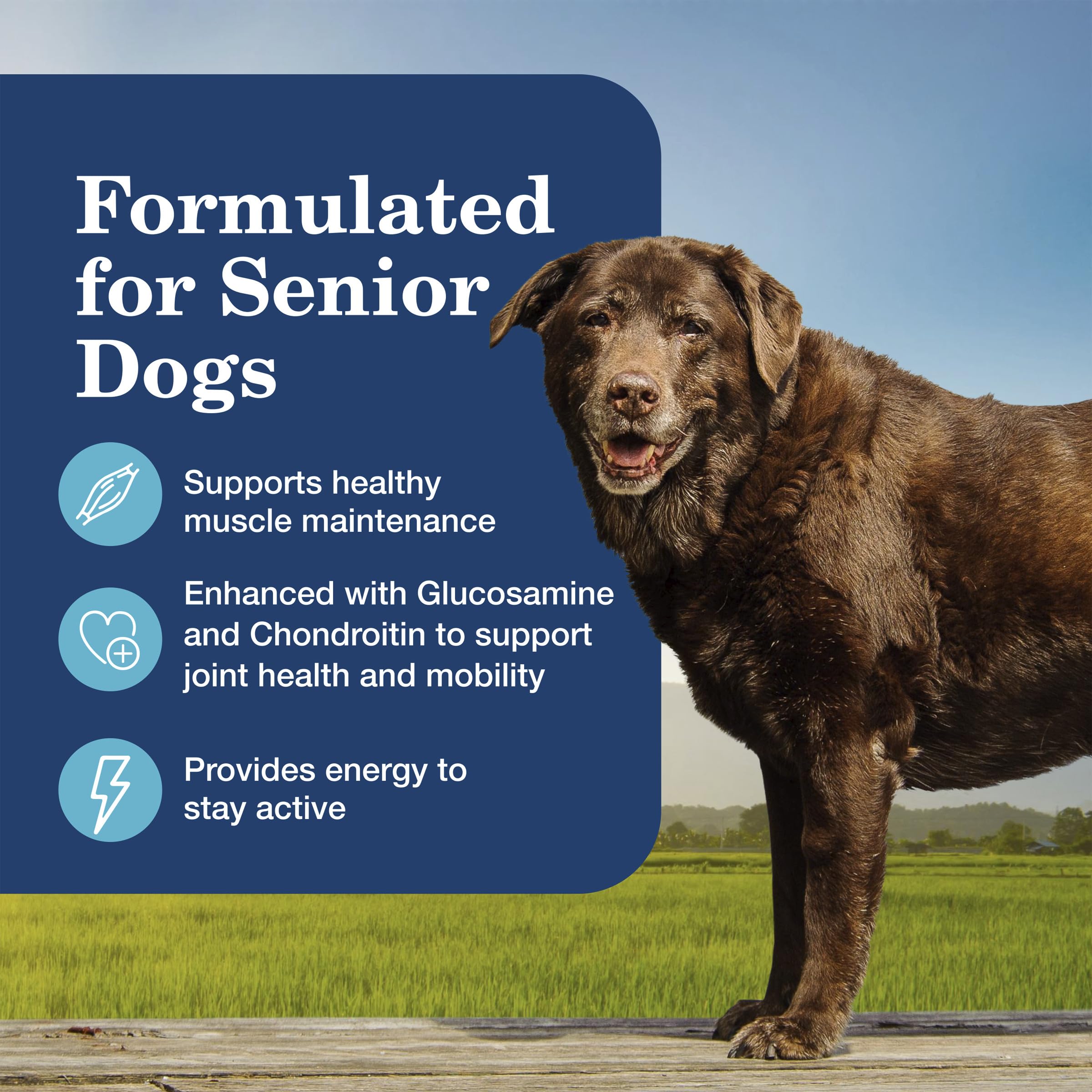 Blue Buffalo close-up of feeding guidelines to help portion senior dogs