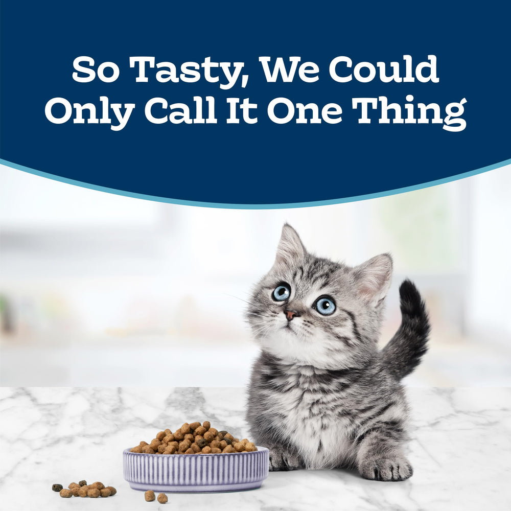 Close-up of Blue Buffalo kibble texture highlighting crunchy chicken-first formula