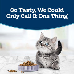 Close-up of Blue Buffalo kibble texture highlighting crunchy chicken-first formula