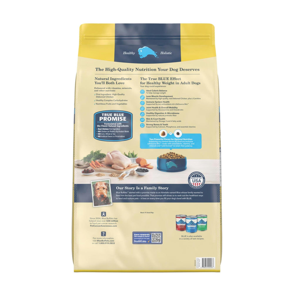 Close-up of Blue Buffalo kibble texture illustrating crunchy, bite-sized pieces