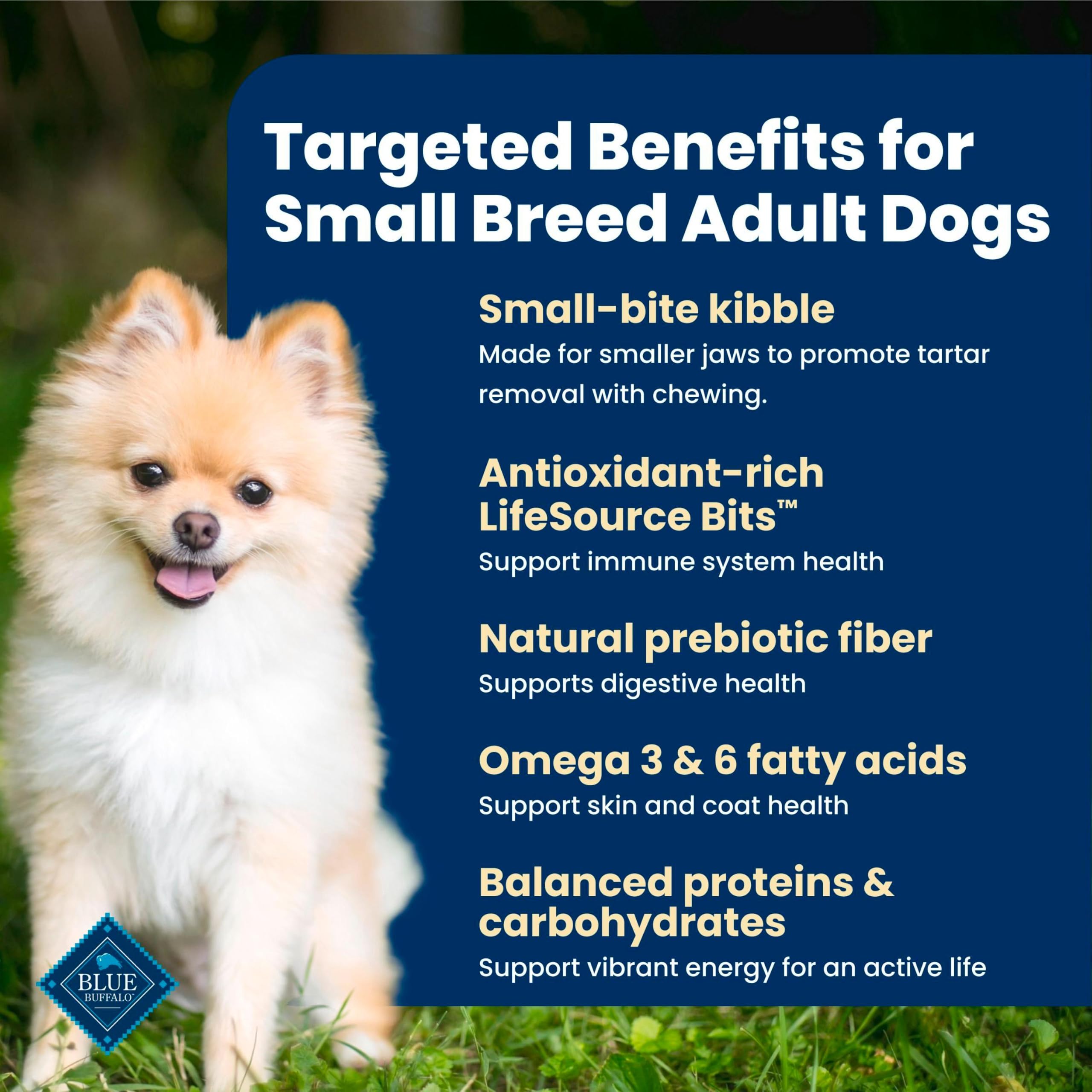 Blue Buffalo kibble in hand shows small-bite scale for dogs