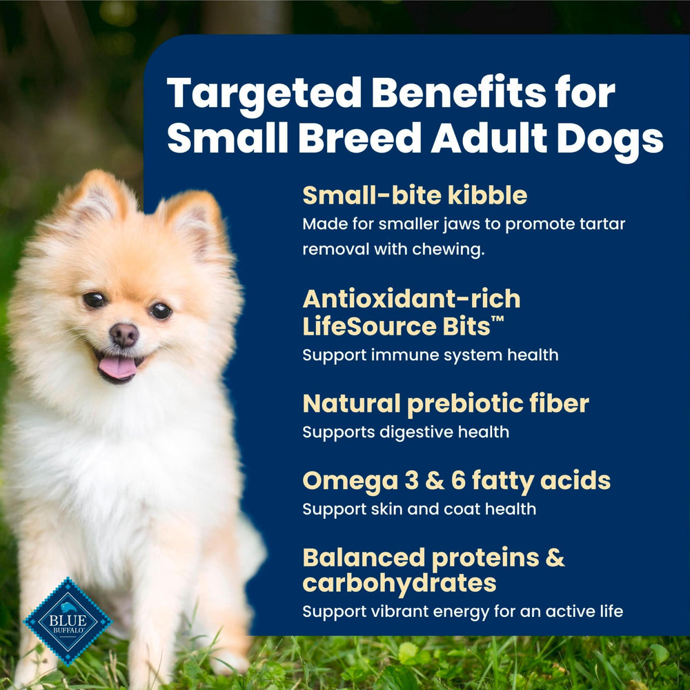 Blue Buffalo kibble in hand shows small-bite scale for dogs