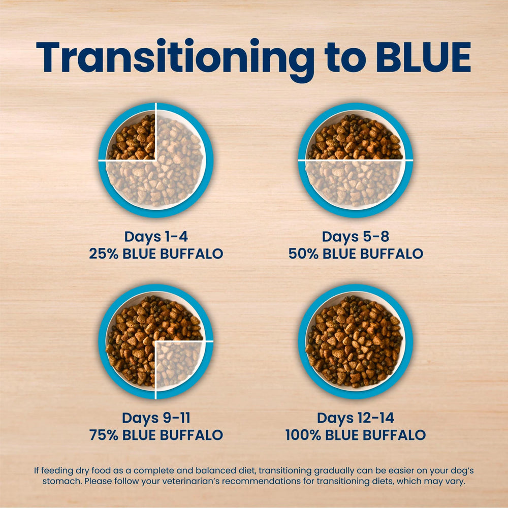 Blue Buffalo kibble in hand showing bite-size pieces and easy chewability