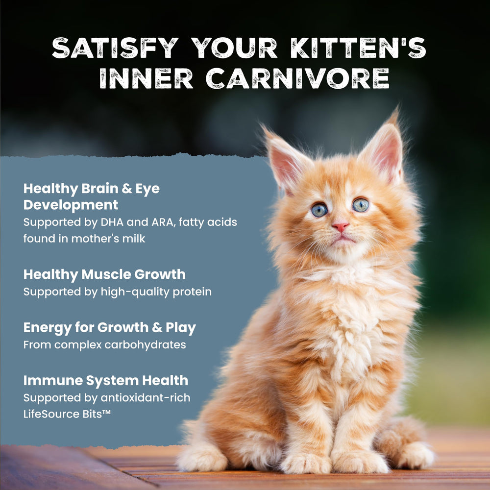 Blue Buffalo kitten eating kibble demonstrating high palatability