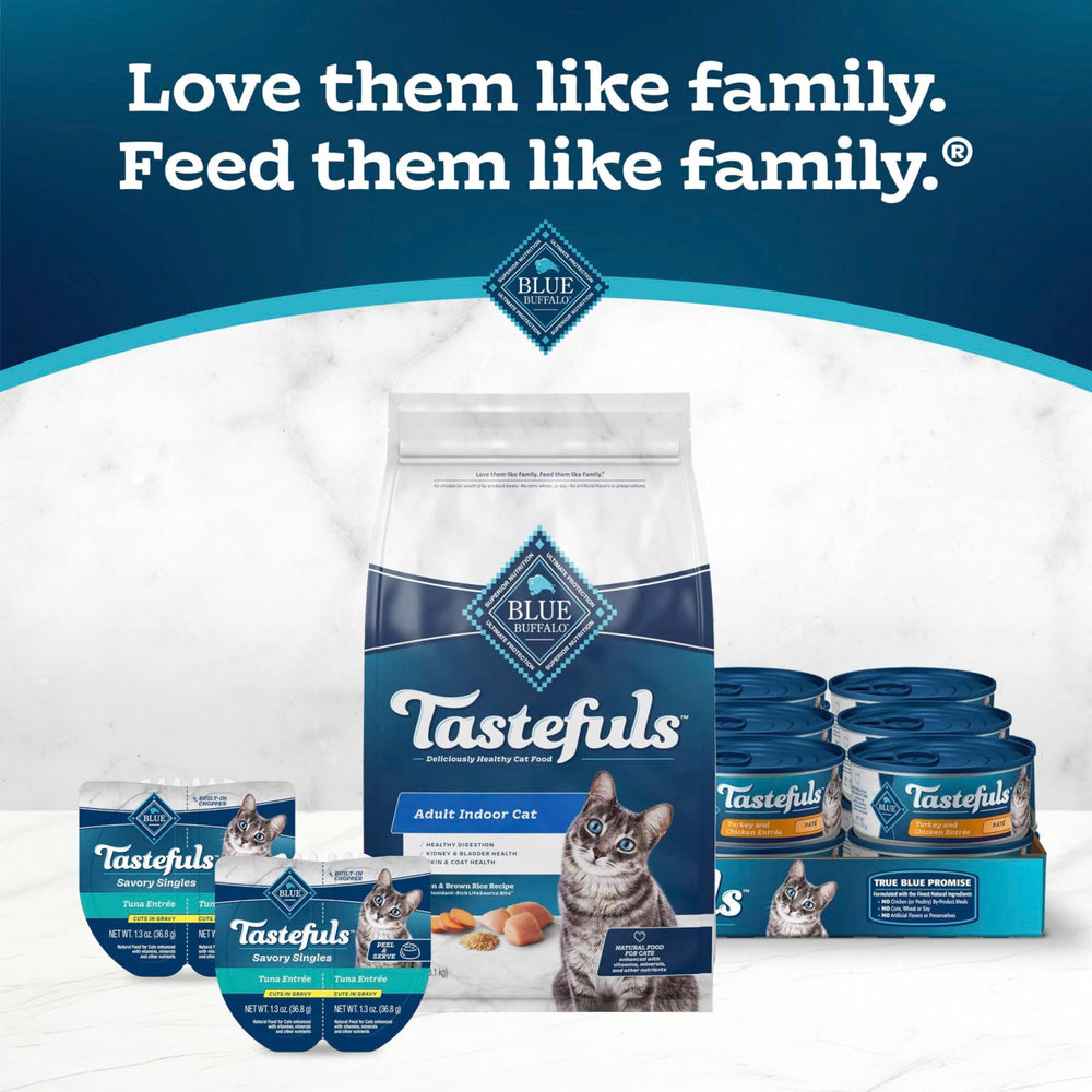 Kitchen counter lifestyle shot with Blue Buffalo bag and feeding set