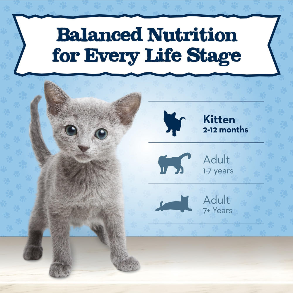Playful kitten in home setting after eating Blue Buffalo supporting energy