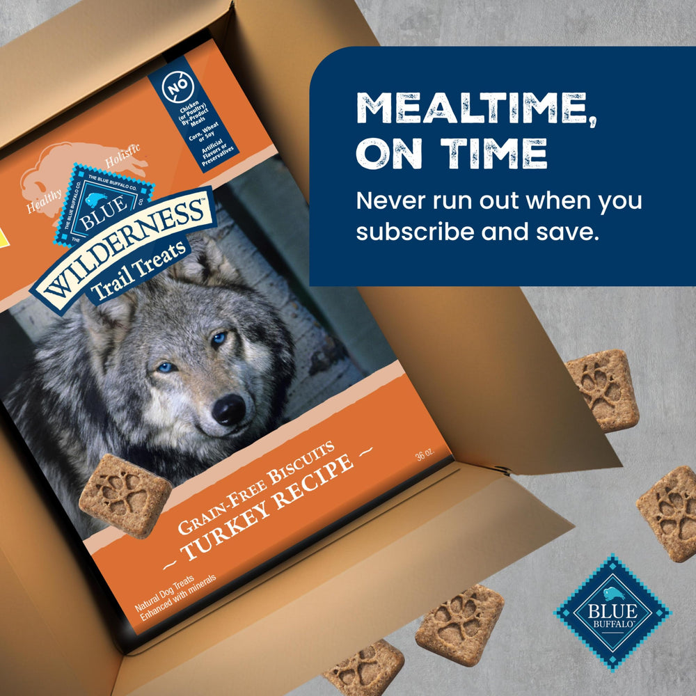 Blue Buffalo owner giving a treat to dog showing training reward moment