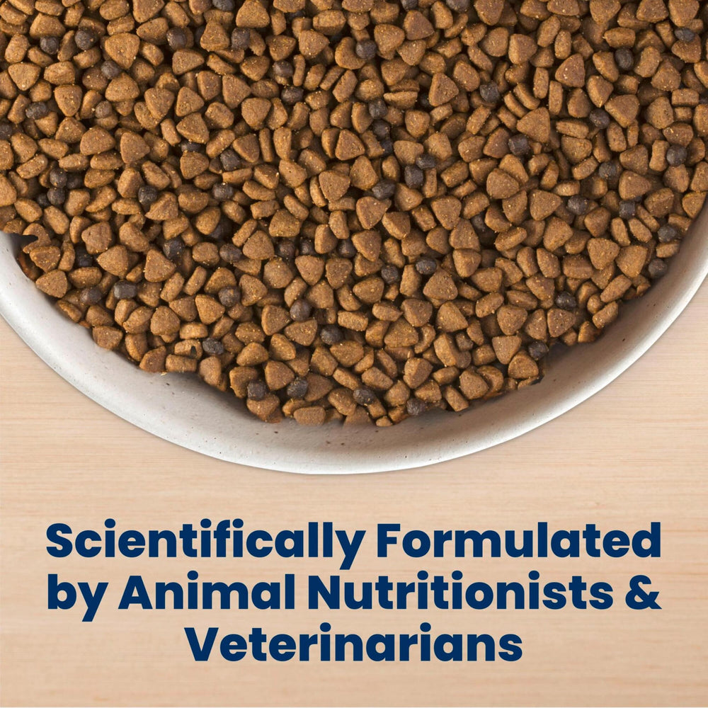 Blue Buffalo nutrition label close-up revealing guaranteed analysis and feeding guide