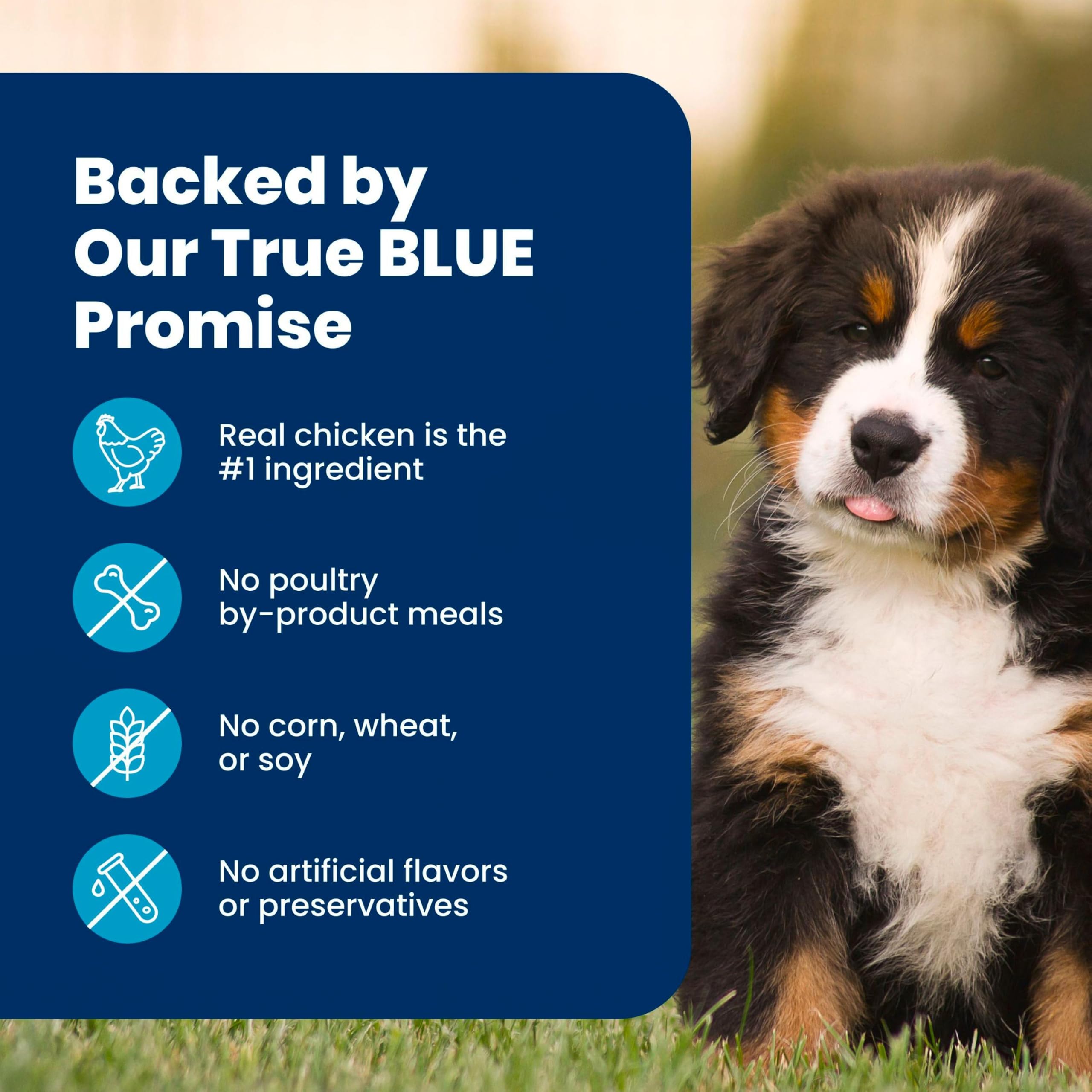 Blue Buffalo open bag pouring kibble showing freshness and ease of use