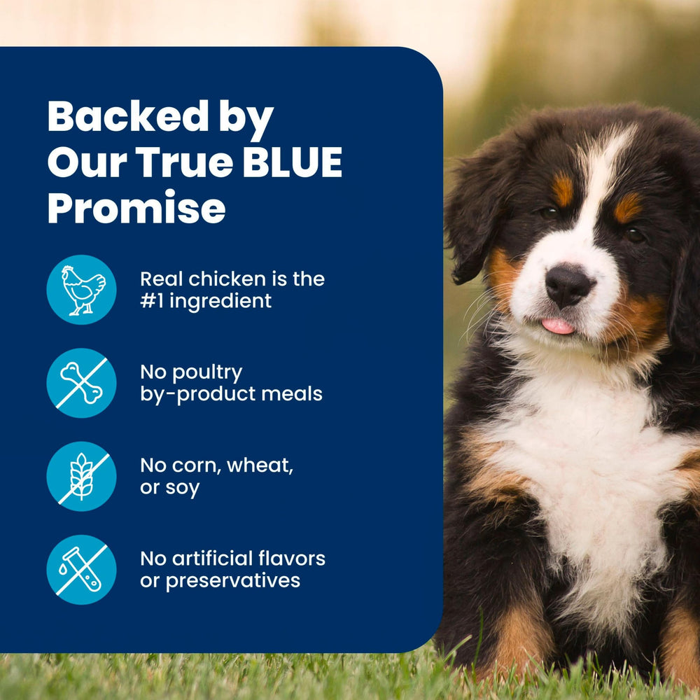 Blue Buffalo open bag pouring kibble showing freshness and ease of use