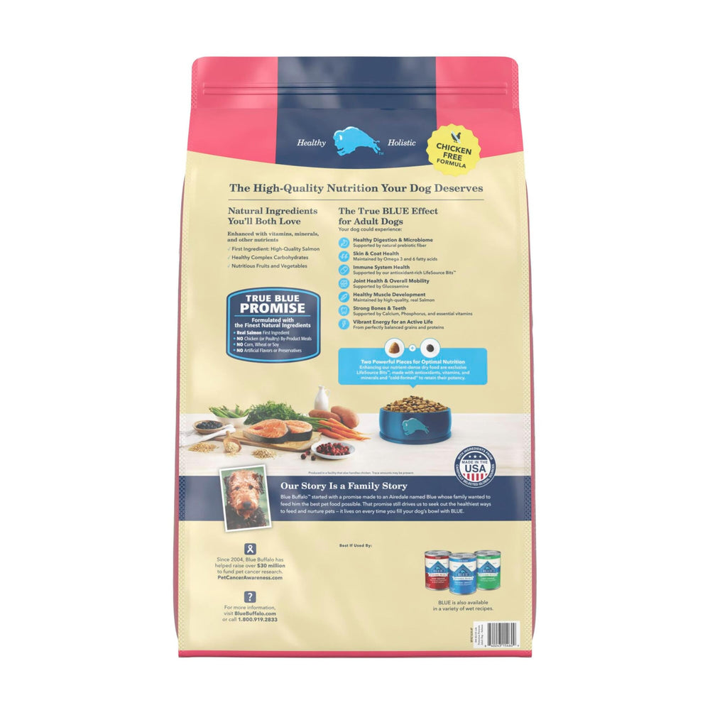 Blue Buffalo kibble close-up showing texture and quality protein