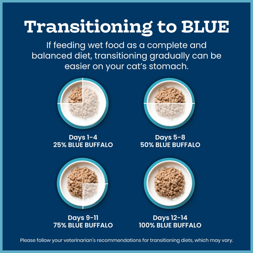 Blue Buffalo lifestyle kitchen scene showing easy feeding and family use