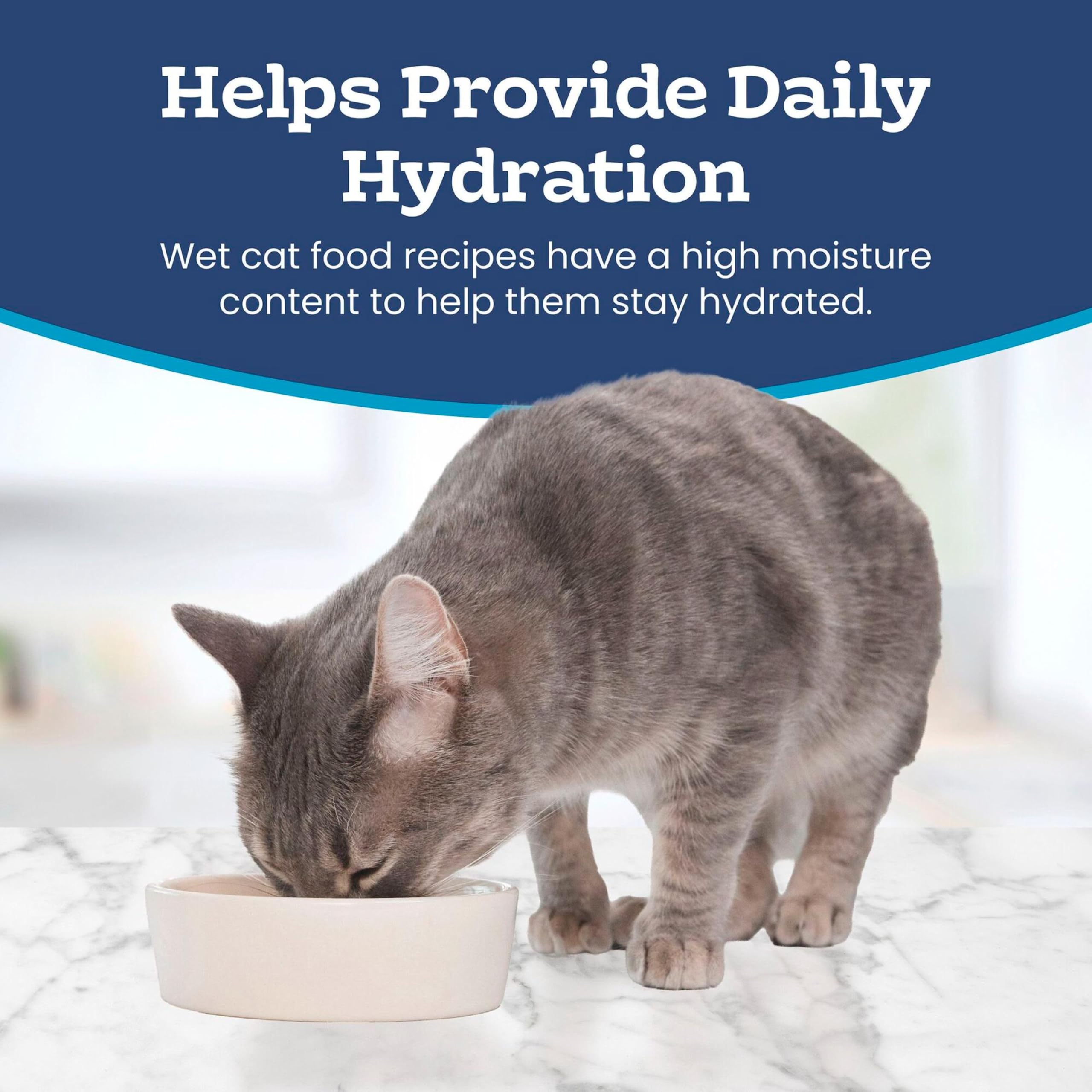 Blue Buffalo can beside standard measuring cup to show portion size