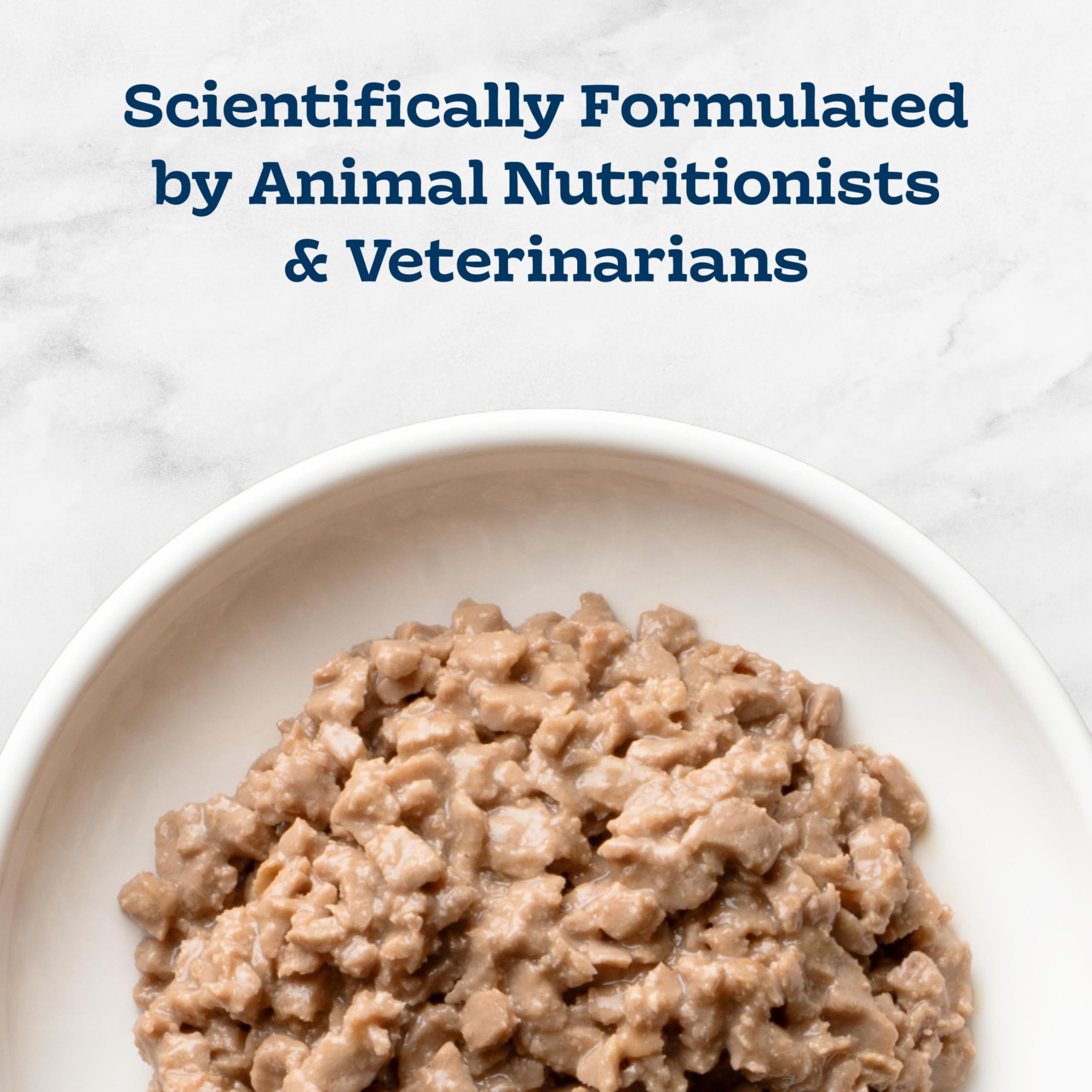 Blue Buffalo served in bowl demonstrating appetizing presentation for cats