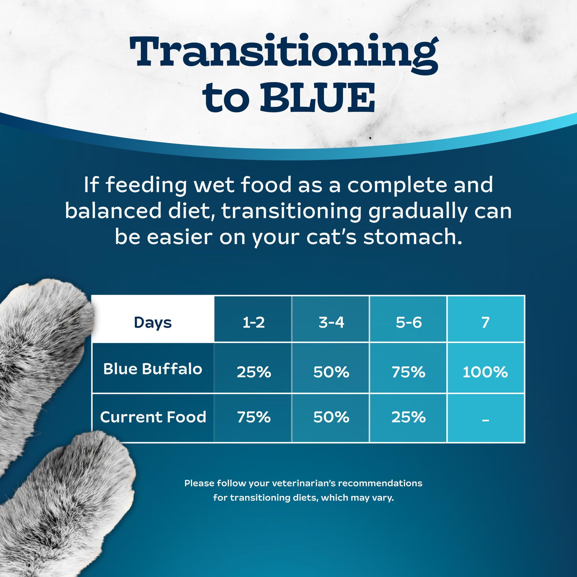 Blue Buffalo cup beside spoon showing compact single-meal portion size