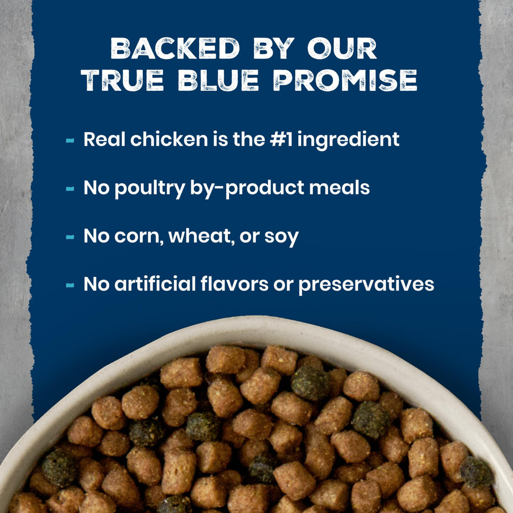Blue Buffalo LifeSource Bits close-up highlighting nutrient support
