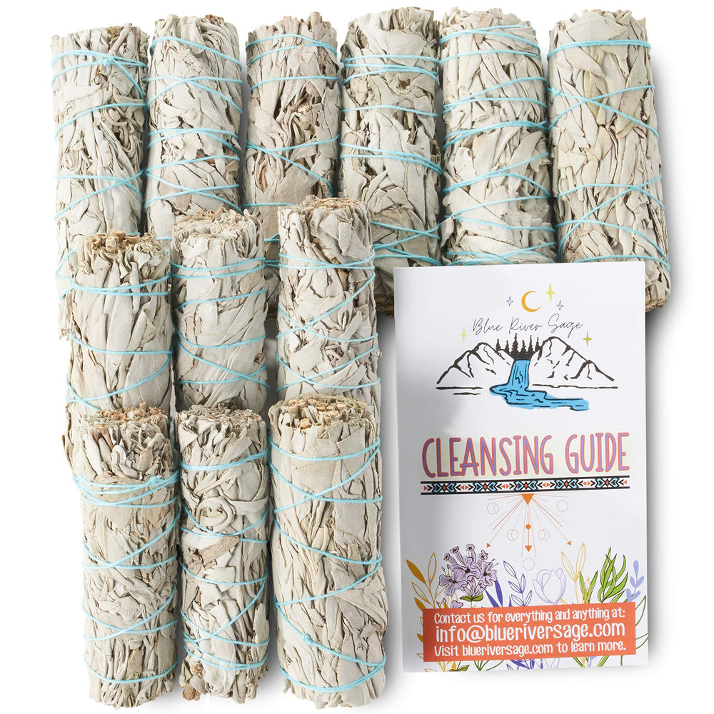 BLUE RIVER SAGE smudge stick in abalone shell demonstrating safe catch benefit