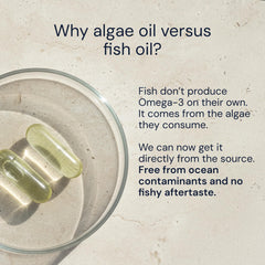 Blueprint Bryan Johnson algae oil texture in droplet form illustrating pure triglyceride omega-3 source
