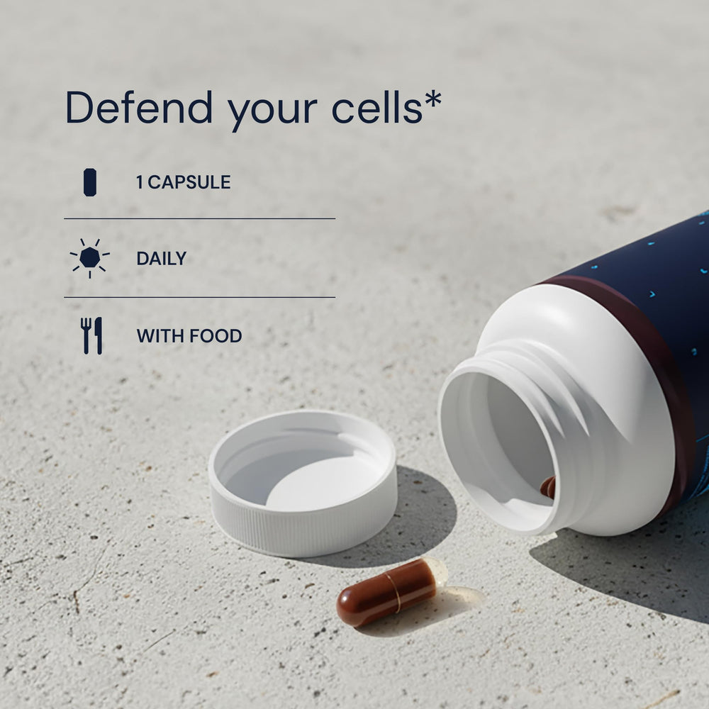 Blueprint Bryan Johnson capsule beside hand for size comparison and easy swallowing
