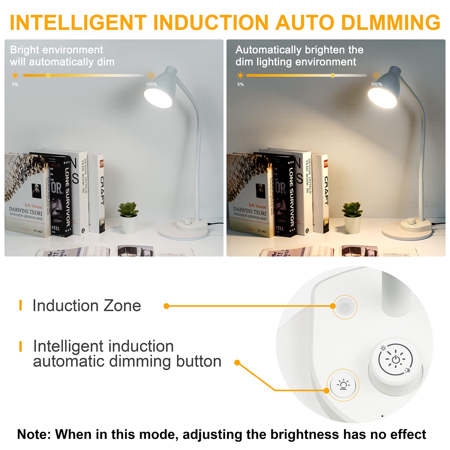 BOHON lamp next to notebook to show scale and space-saving benefit