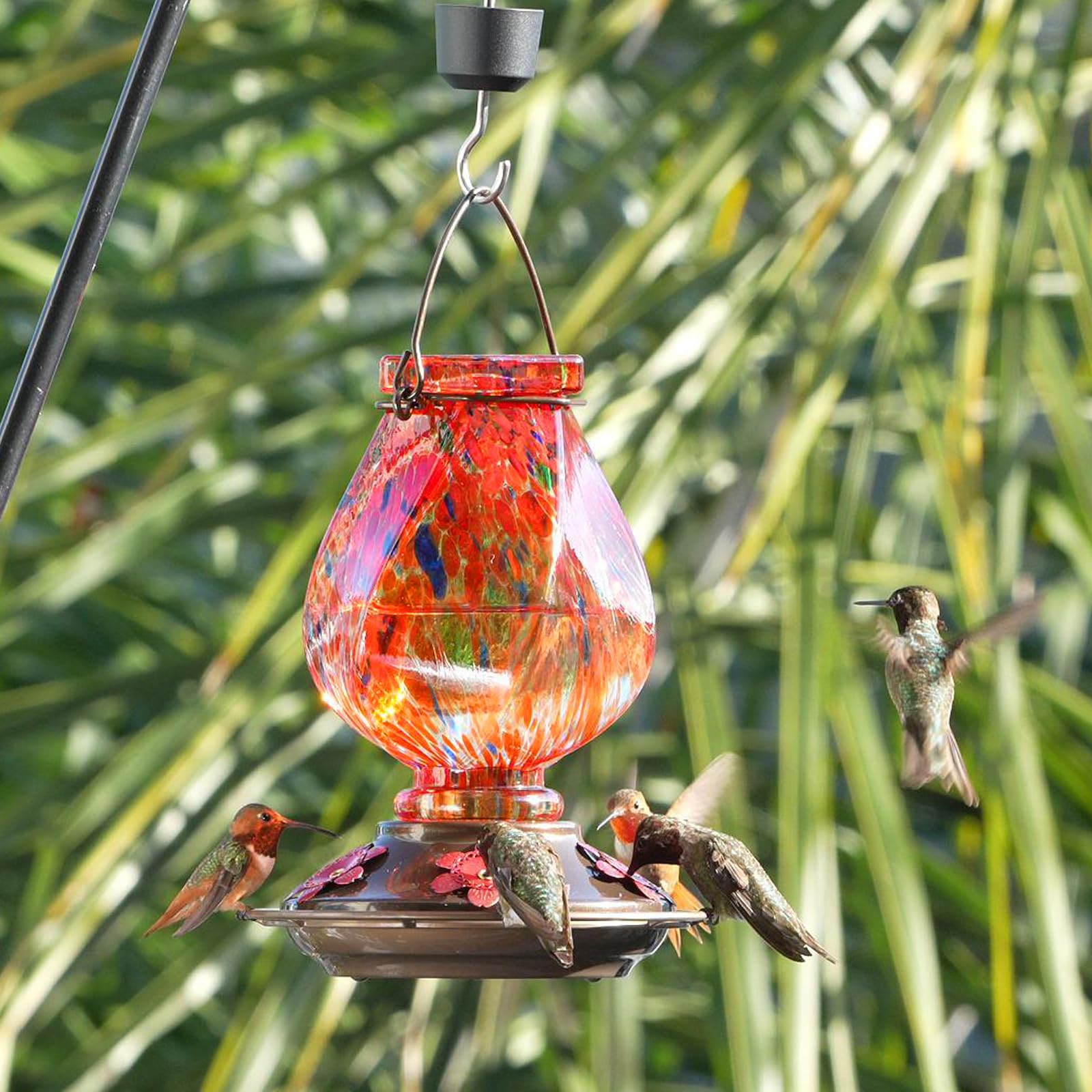 BOLITE feeding ports and 360° perch closeup enabling multiple birds