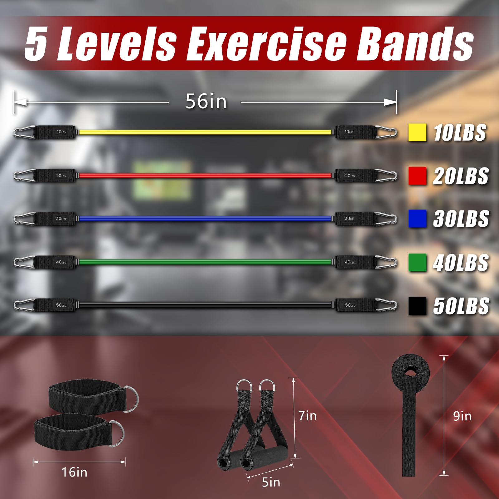 Bourid band stretch action illustrating progressive tension for strength building