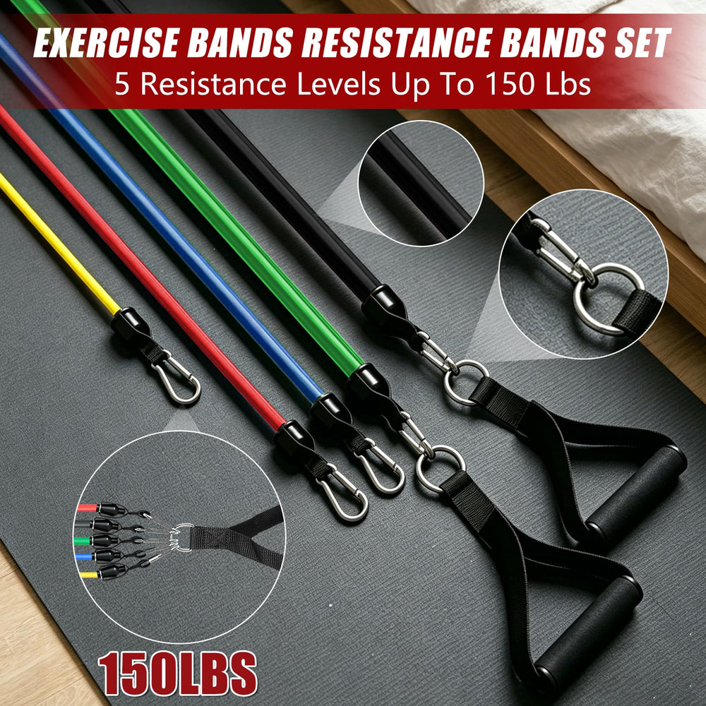 Bourid color-coded bands detail displaying five resistance levels for easy selection