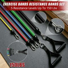 Bourid color-coded bands detail displaying five resistance levels for easy selection