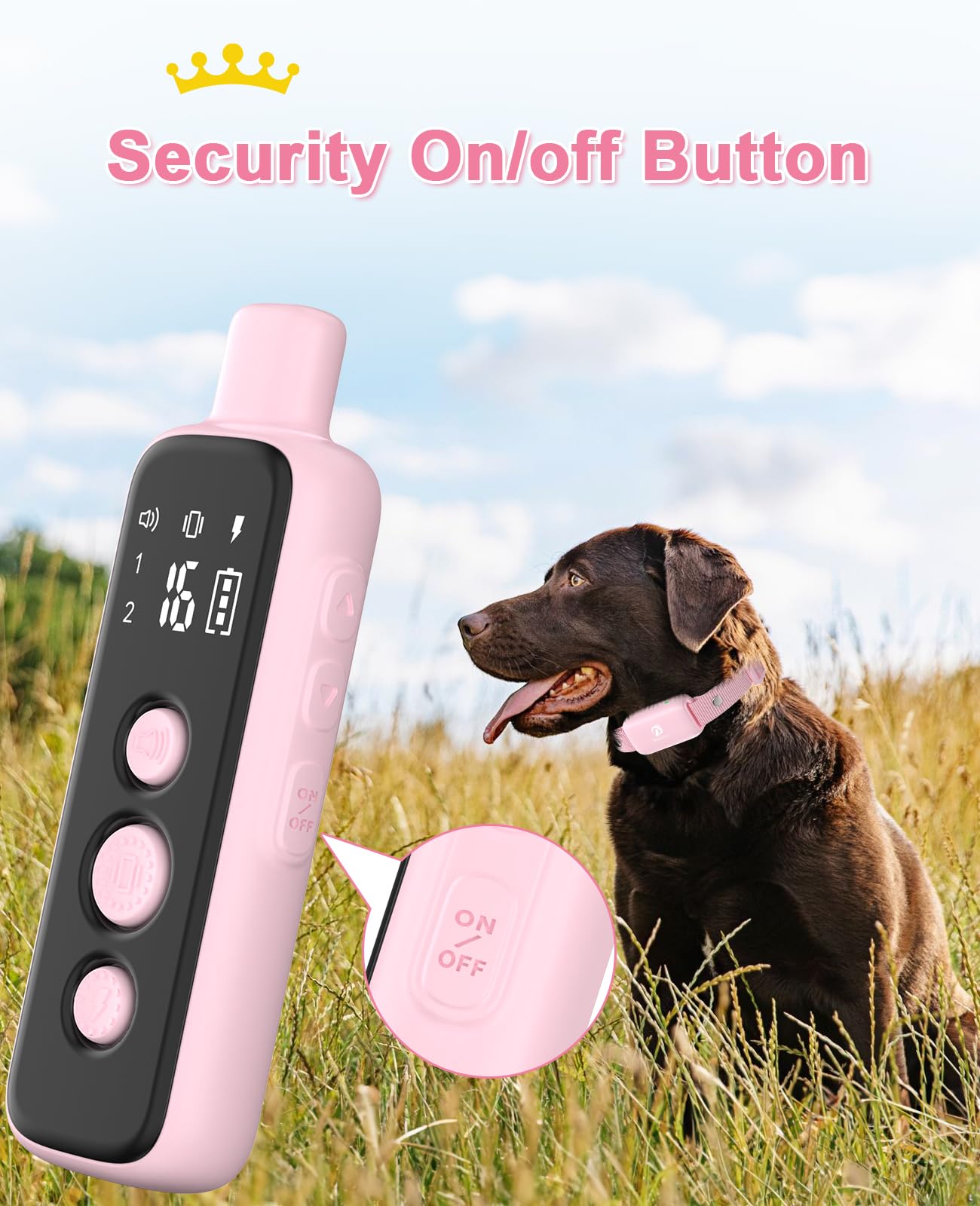 BOUSNIC remote used during park training for long-range control