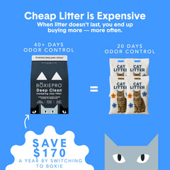 Boxie Probiotic in litter box with cat illustrating reduced odor and cleaner box