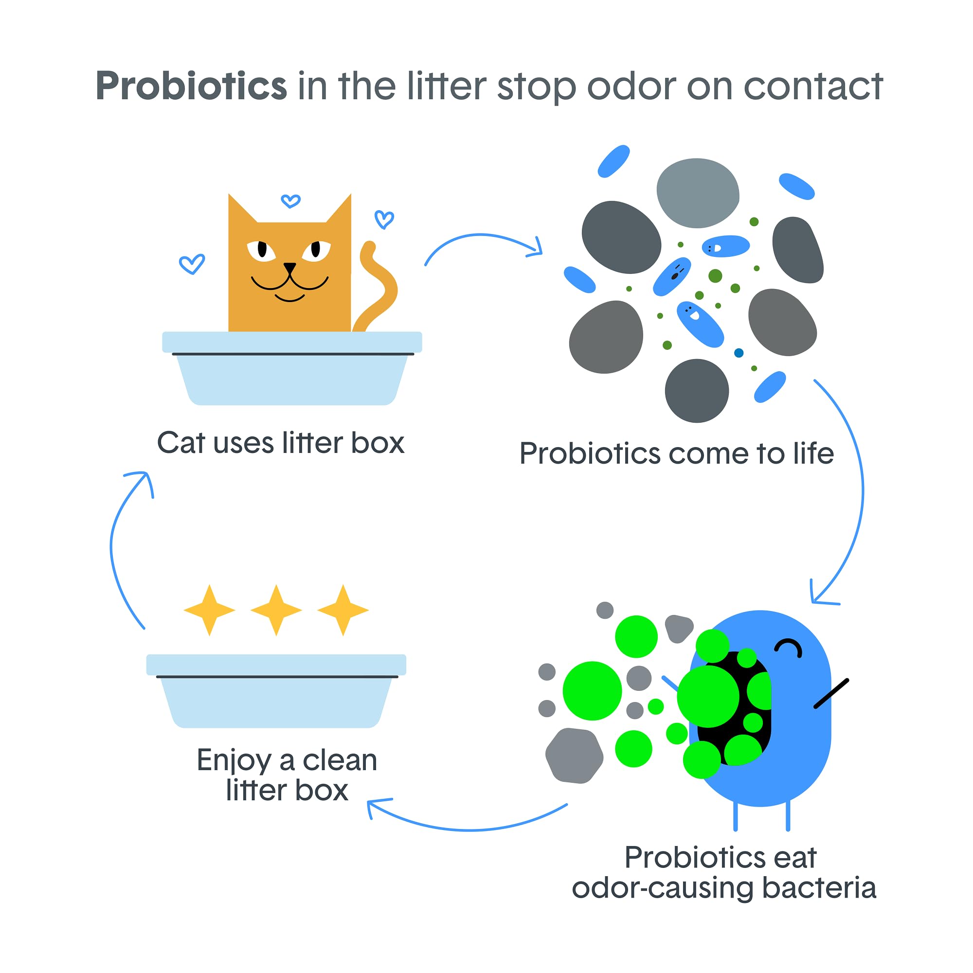 Boxie Probiotic label close-up showing ingredients and no-fragrance assurance