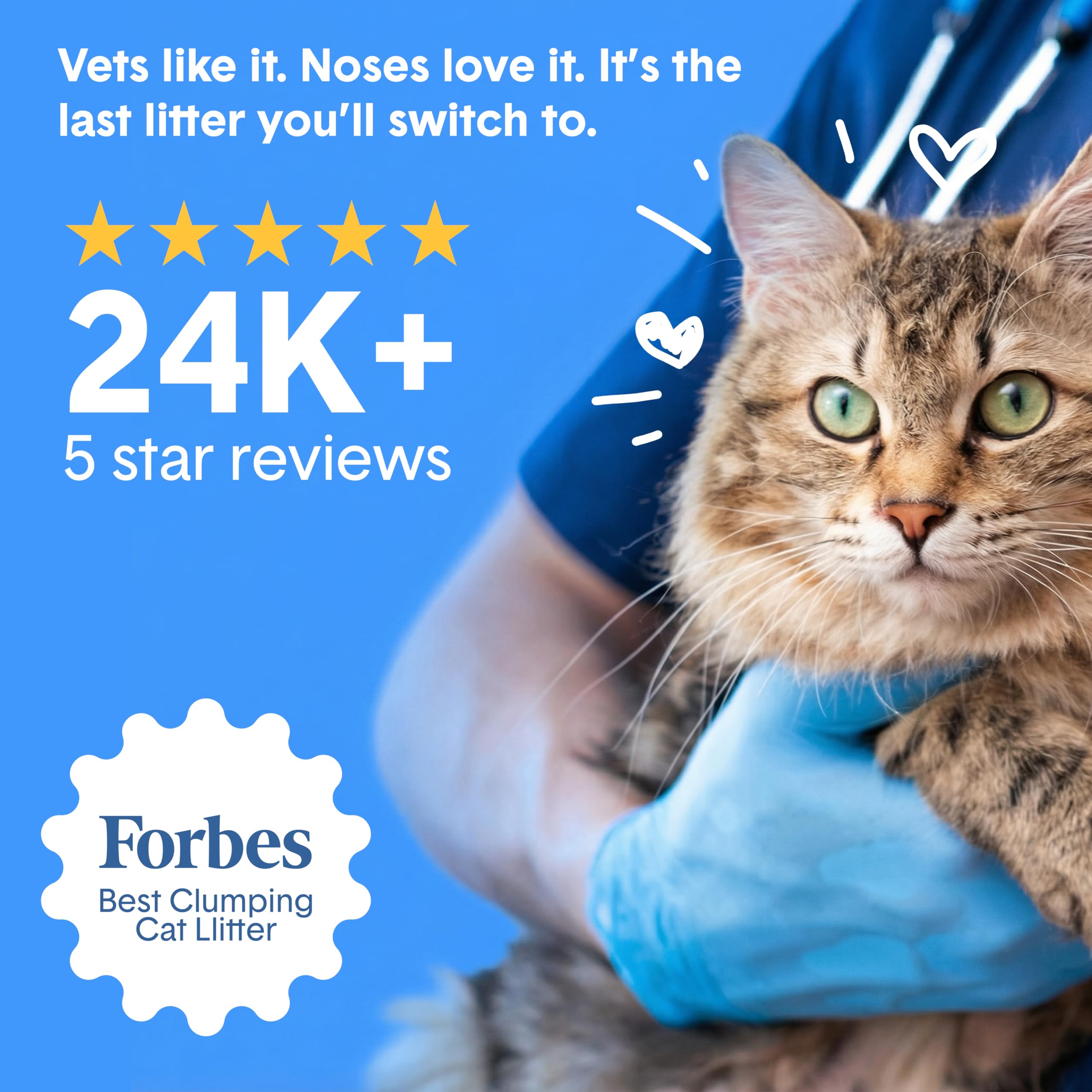 Boxie Probiotic used in multi-cat litter box highlighting strong odor control