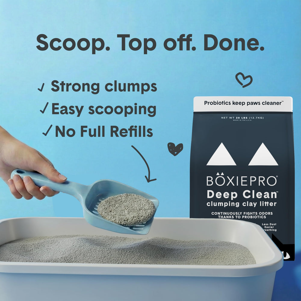 Boxie Probiotic low-dust scoop action reducing airborne particles during cleaning