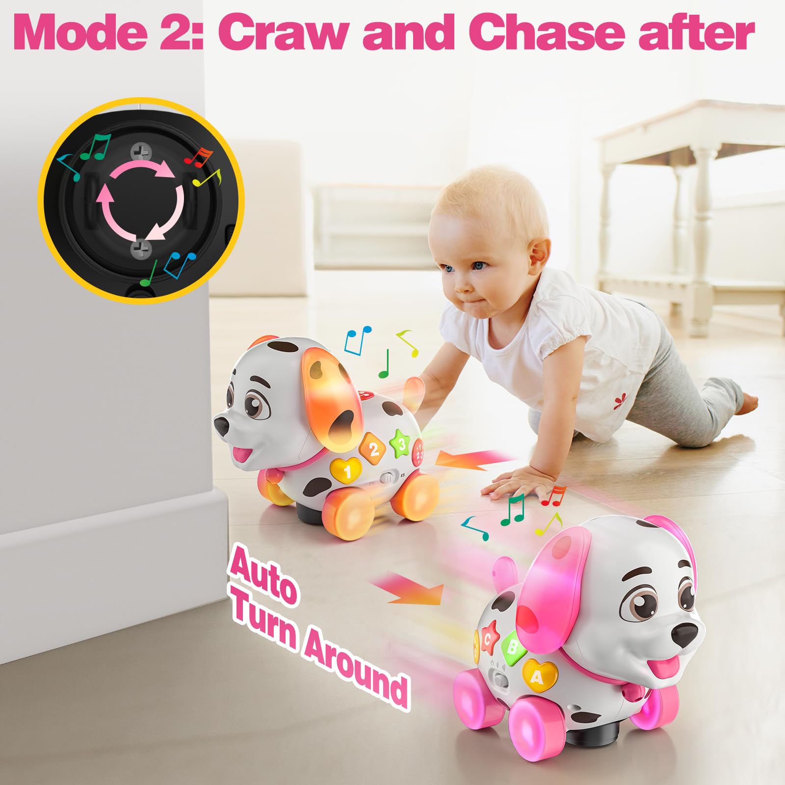 BQU puppy on floor with baby reaching, encouraging crawling and active play