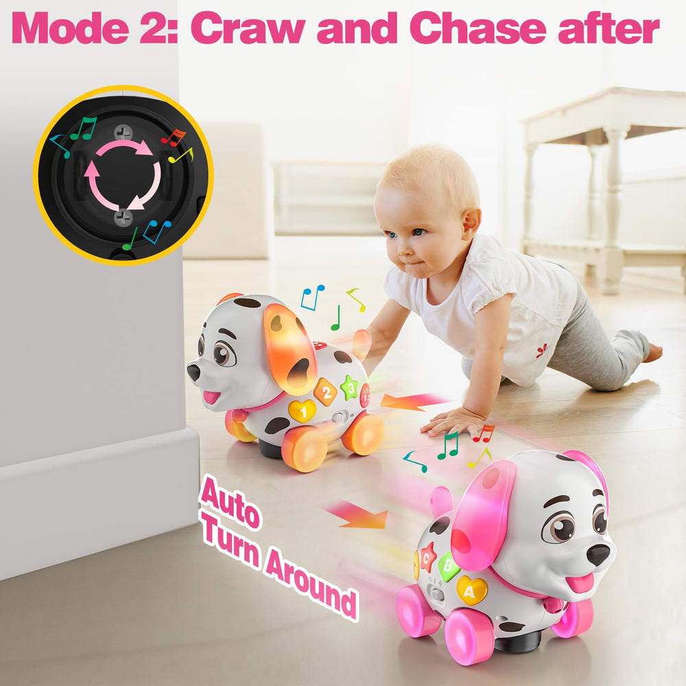 BQU puppy on floor with baby reaching, encouraging crawling and active play